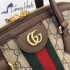 Gucci Bag 055